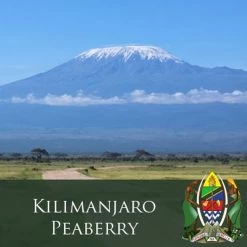 J. Martinez Tanzania Kilimanjaro Peaberry Coffee