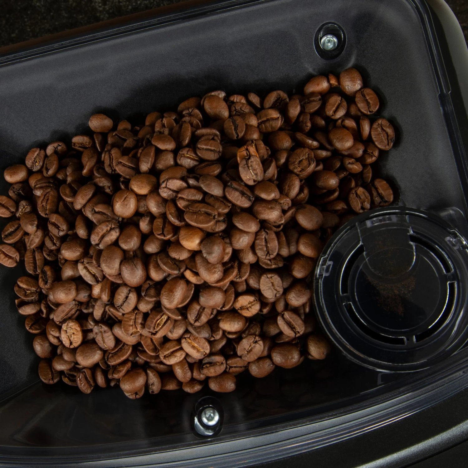 Gaggia Cadorna Barista Plus Automatic Espresso Machine - Dark Chocolate Straight Grain - Image 7