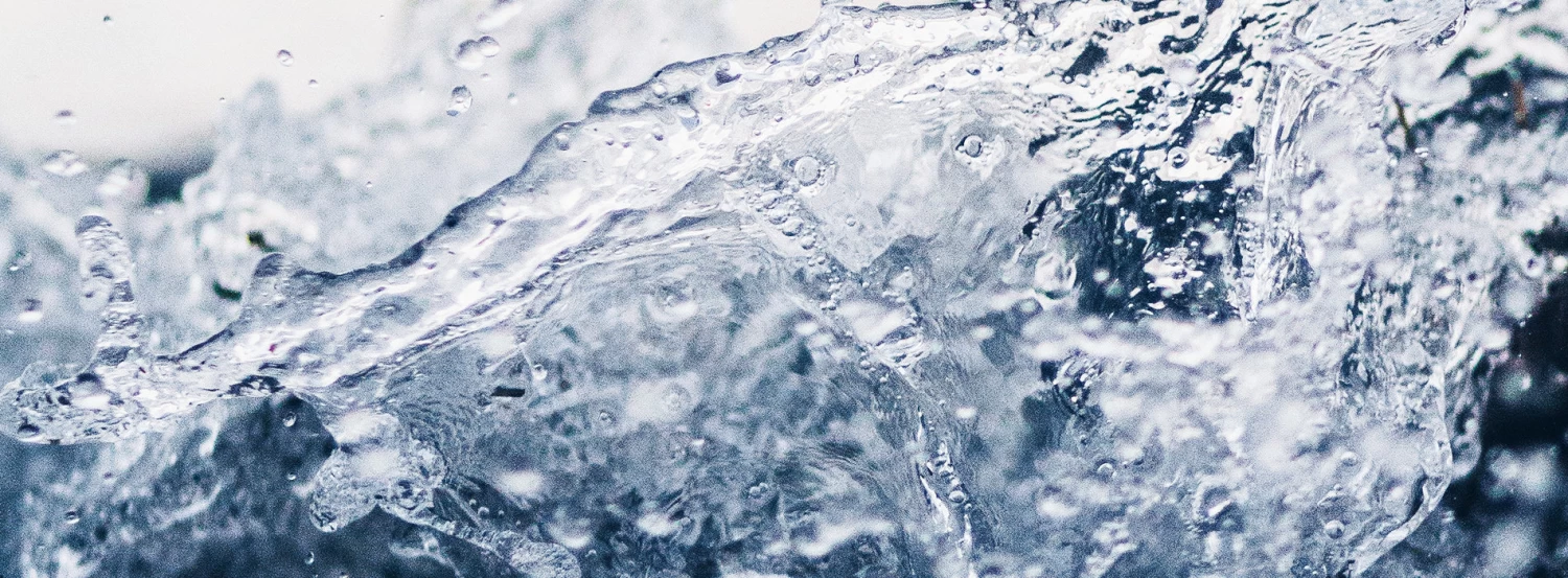 BWT Bestprotect S Water Filter Cartridge - Image 2